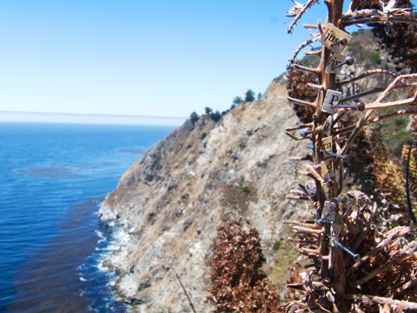 Pin #15: Justin Paradise