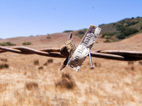 Pins: Pacific Coast